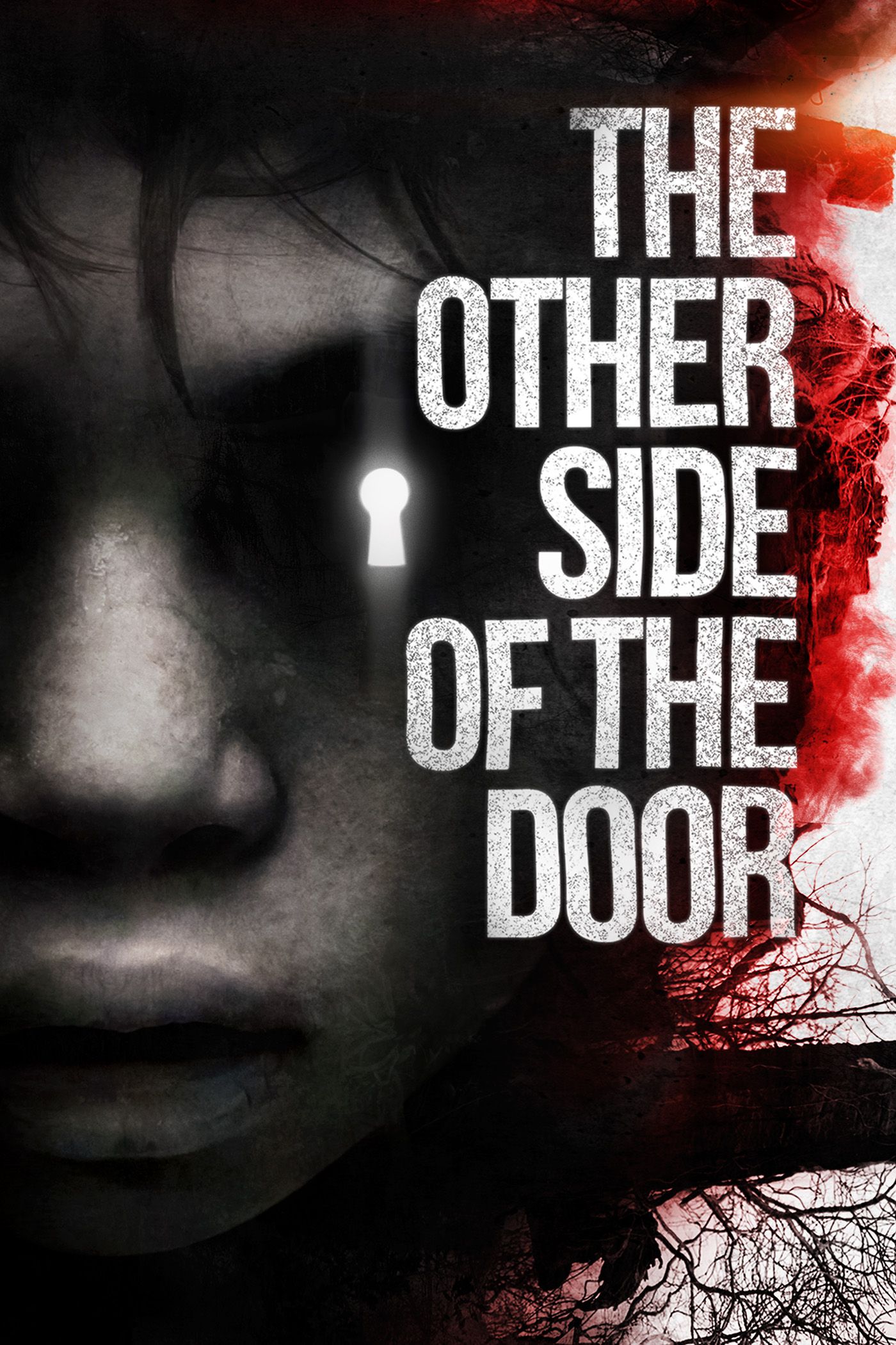 The Door (The Other Side of the Door)